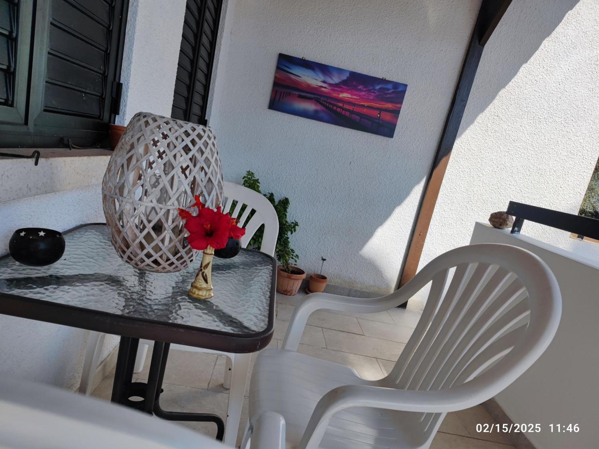 Palm Garden Paradise * Perivolia