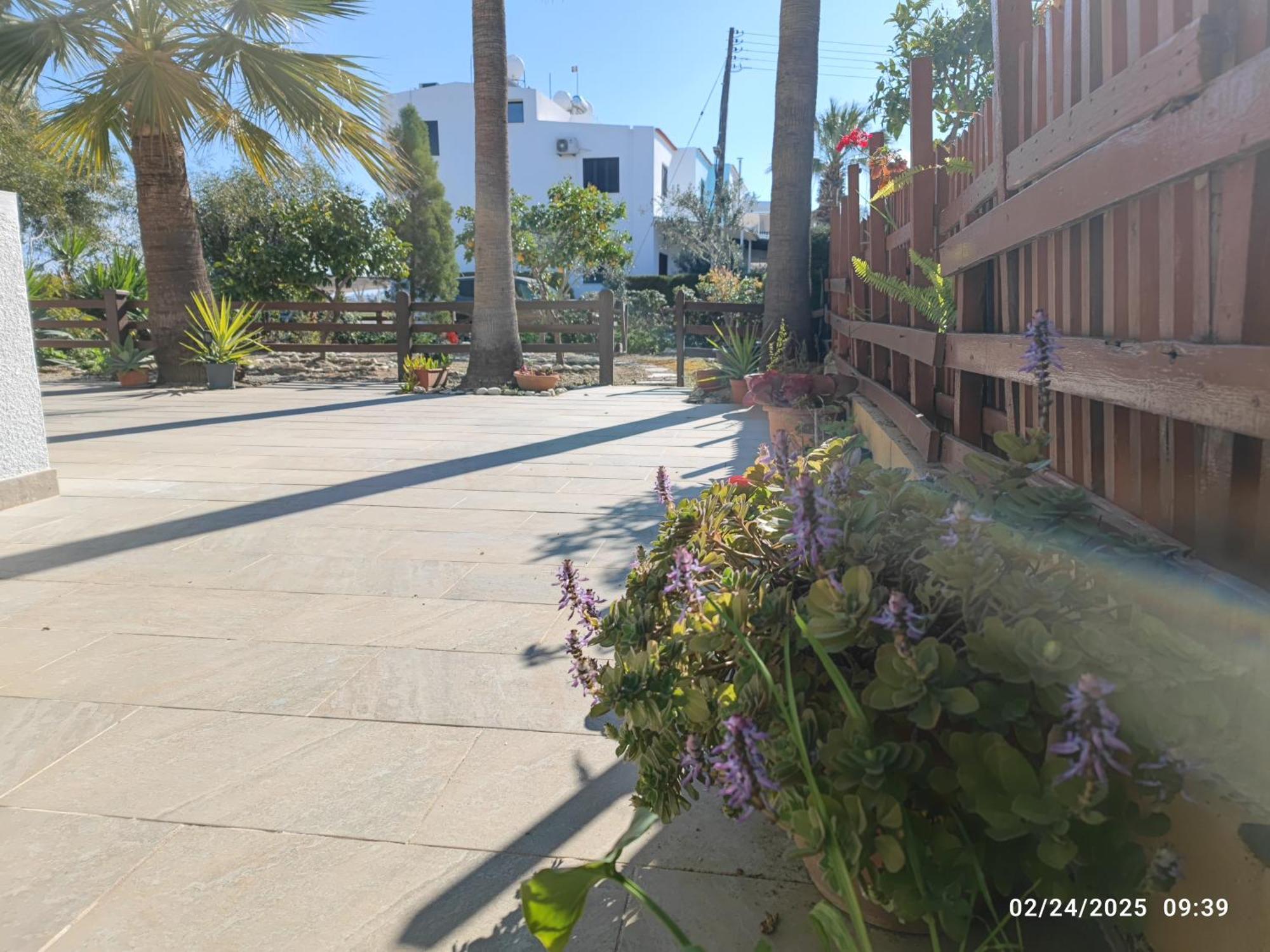 Palm Garden Paradise Perivolia